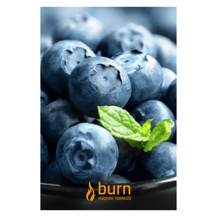 Табак Burn - Blueberry Mint (Черника с Мятой, 100 грамм) купить в Санкт-Петербурге