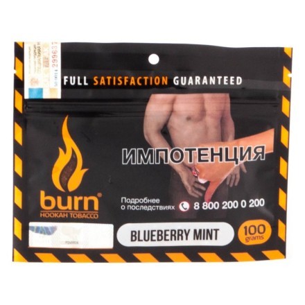 Табак Burn - Blueberry Mint (Черника с Мятой, 100 грамм) купить в Санкт-Петербурге