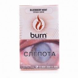 Табак Burn - Blueberry Mint (Черника с Мятой, 100 грамм)